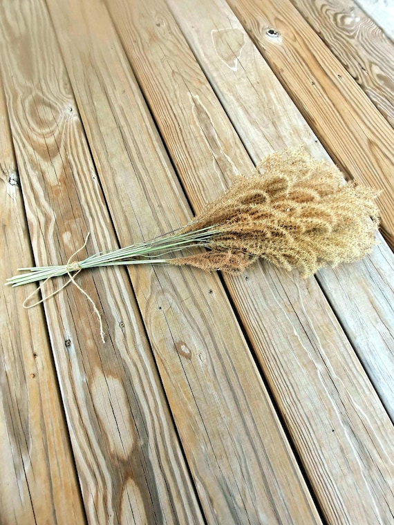 Maiden Grass Flower Bundle: Dried Arrangements, Natural Fall Decor, Weddings, Floral Supplies