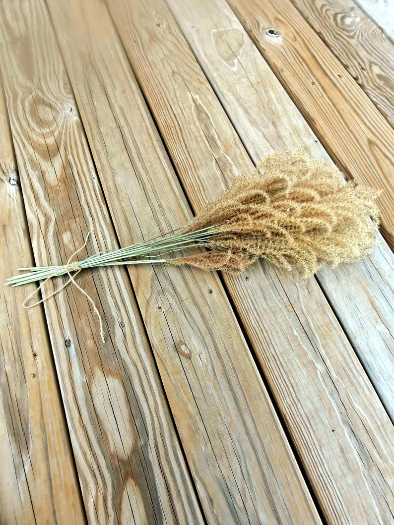 Maiden Grass Flower Bundle: Dried Arrangements, Natural Fall Decor, Weddings, Floral Supplies image 1