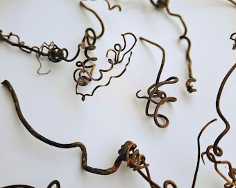 20 Grapevine Tendrils — Natural Curlicues for Crafts
