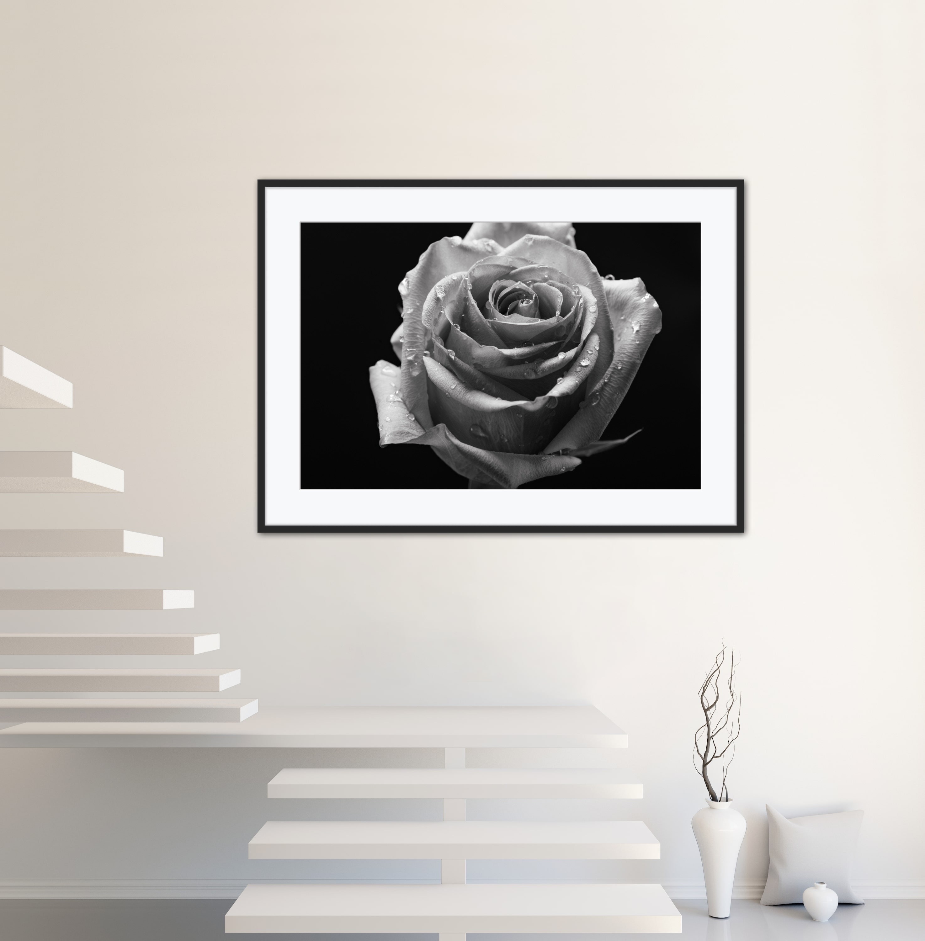 Beautiful Rose With Black Background, Fine Art, Wall Hangings, Home