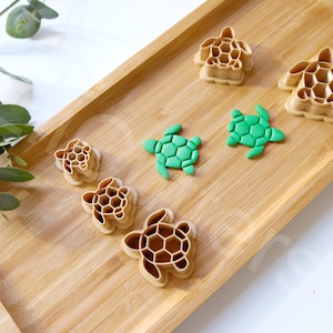 Könnte beinhalten: Ein Set mit sechs schildkrötenförmigen Ausstechern auf einer Holzoberfläche. Die Ausstecher sind aus hellem braunen Material gefertigt und haben ein Wabenmuster. Zwei der Ausstecher sind grün und haben eine glatte Oberfläche.