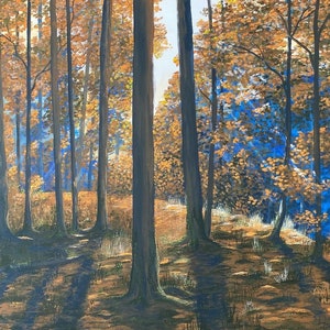 Buchenwald im Herbst