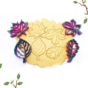 Autumn Leaf Cookie Cutter Set | Maple, Oak, Birch