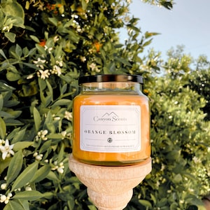 ORANGE BLOSSOM