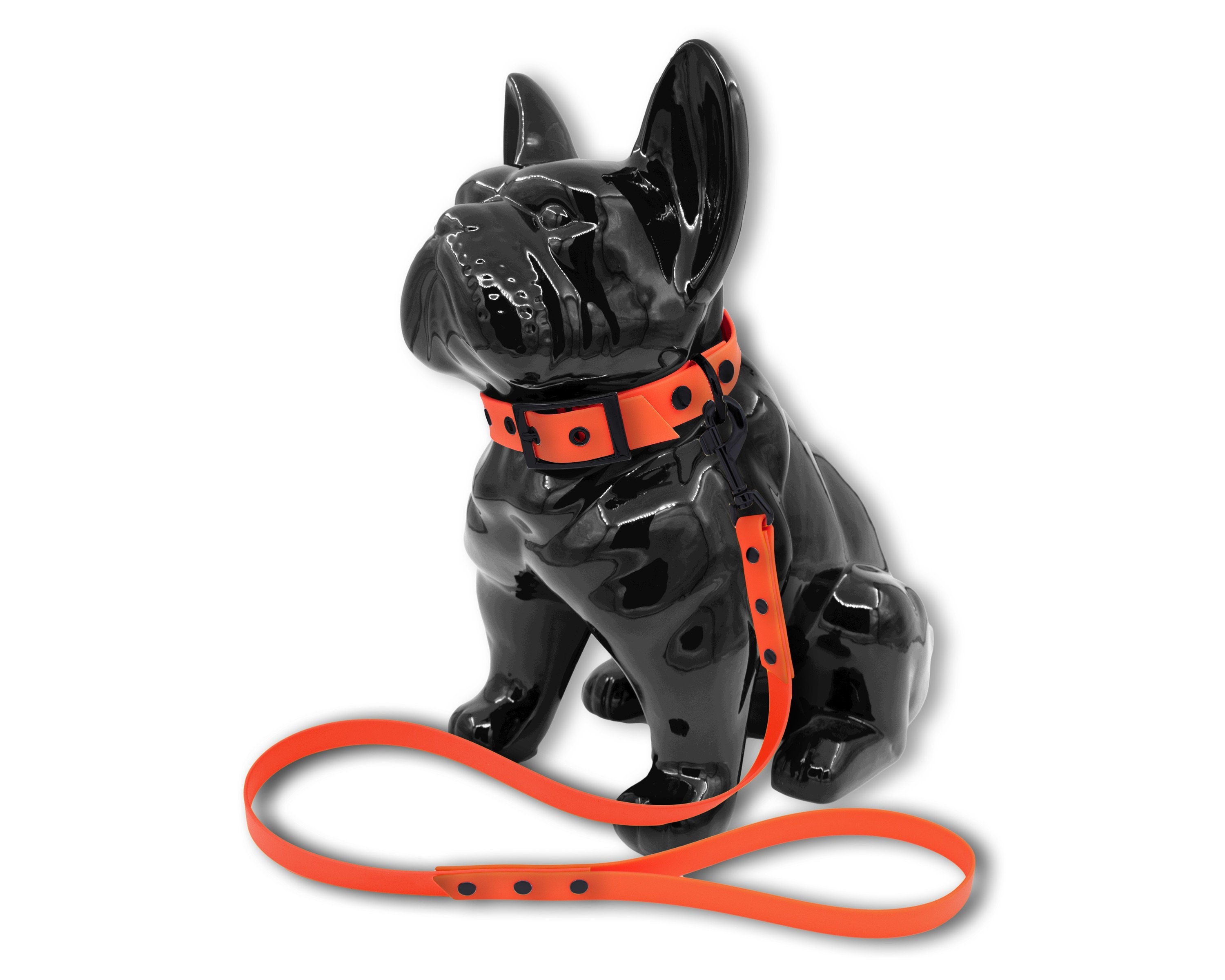 Ensemble Collier Laisse Classe Pour Chien ou Chat en Biothane Orange avec Boucle et Rivets Noir Mat,