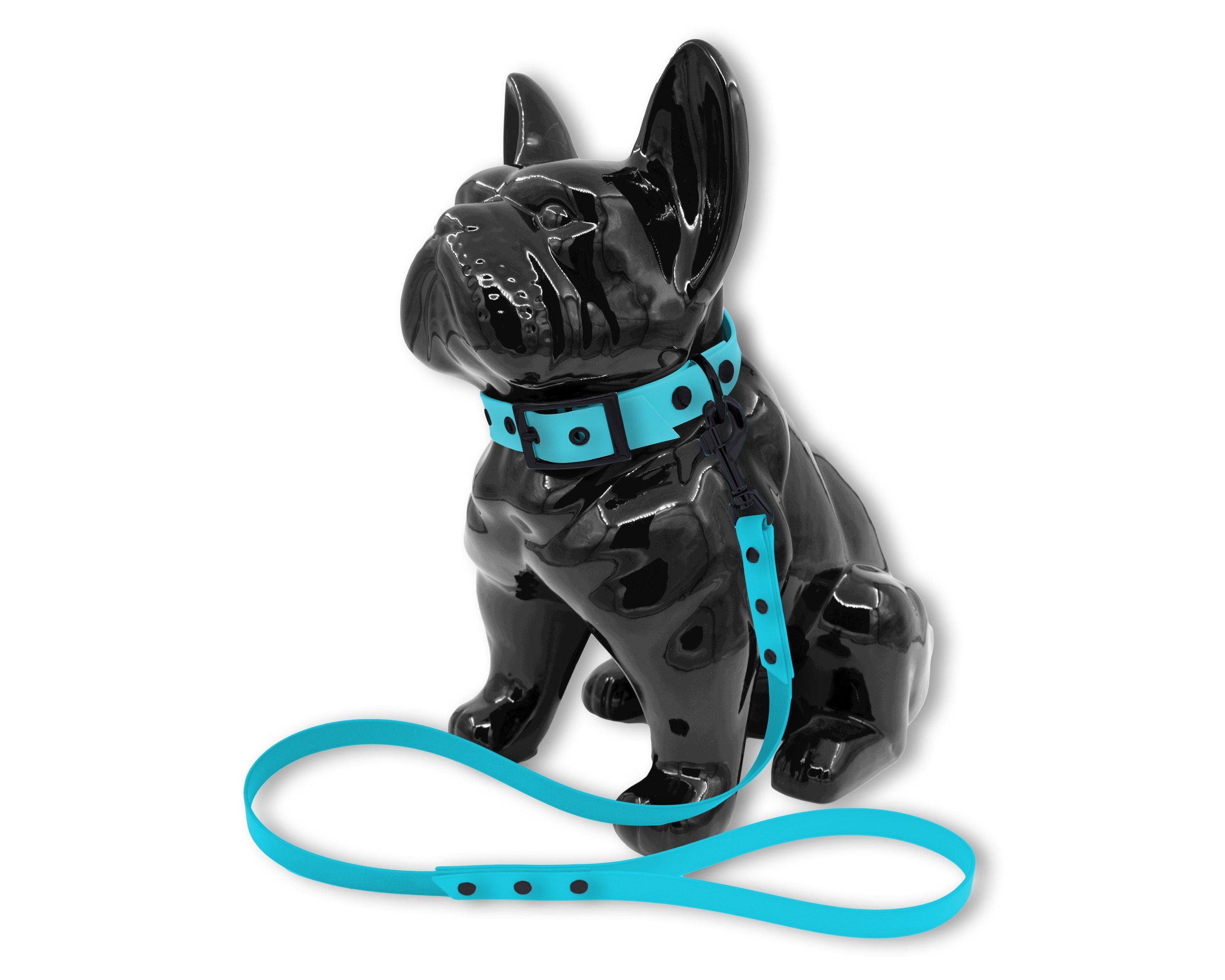Ensemble Collier Laisse Classe Pour Chien ou Chat en Biothane Bleu Ciel avec Boucle et Rivets Noir M