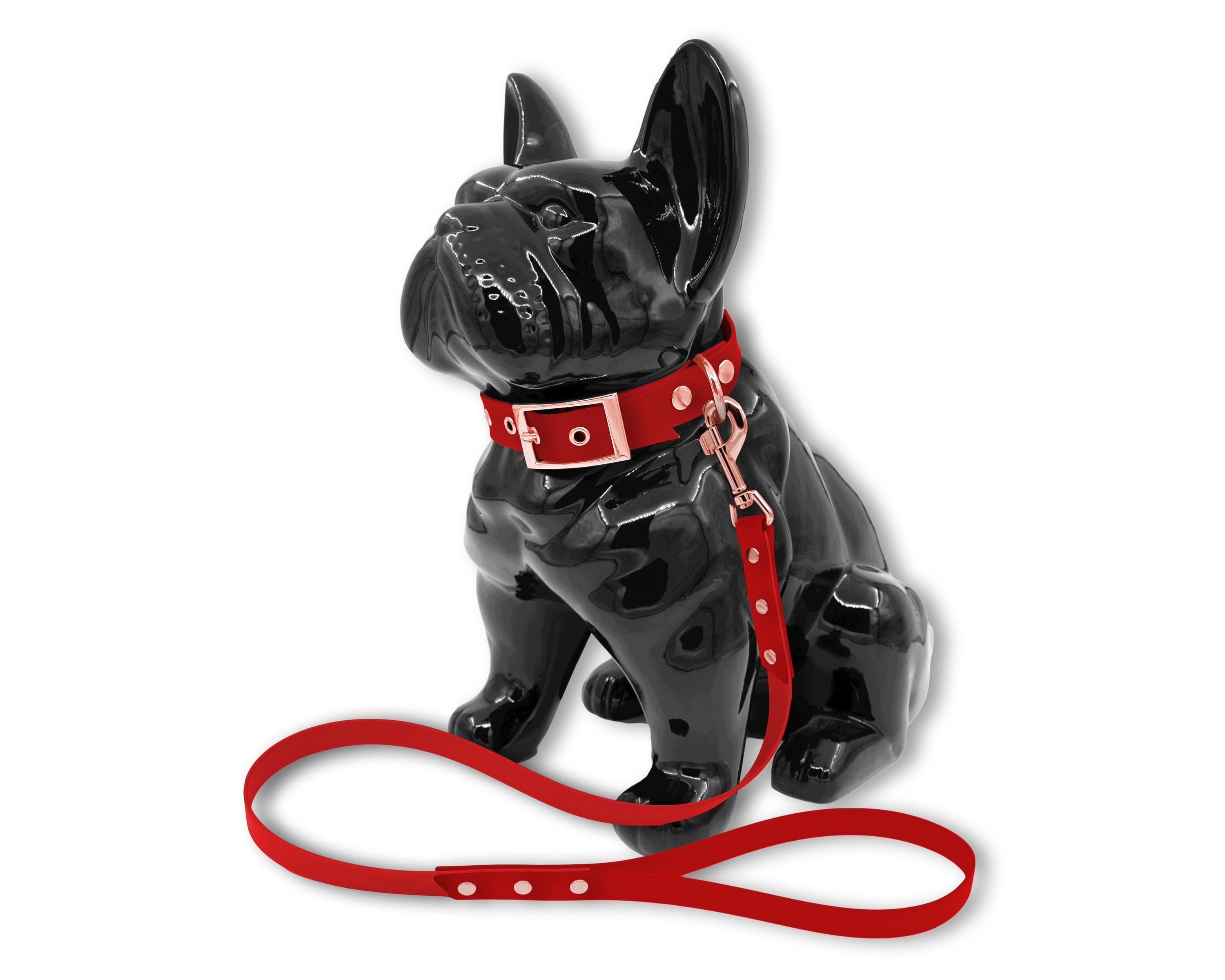 Ensemble Collier Laisse Classe Pour Chien ou Chat en Biothane Rouge avec Boucle et Rivets Noir Mat, 