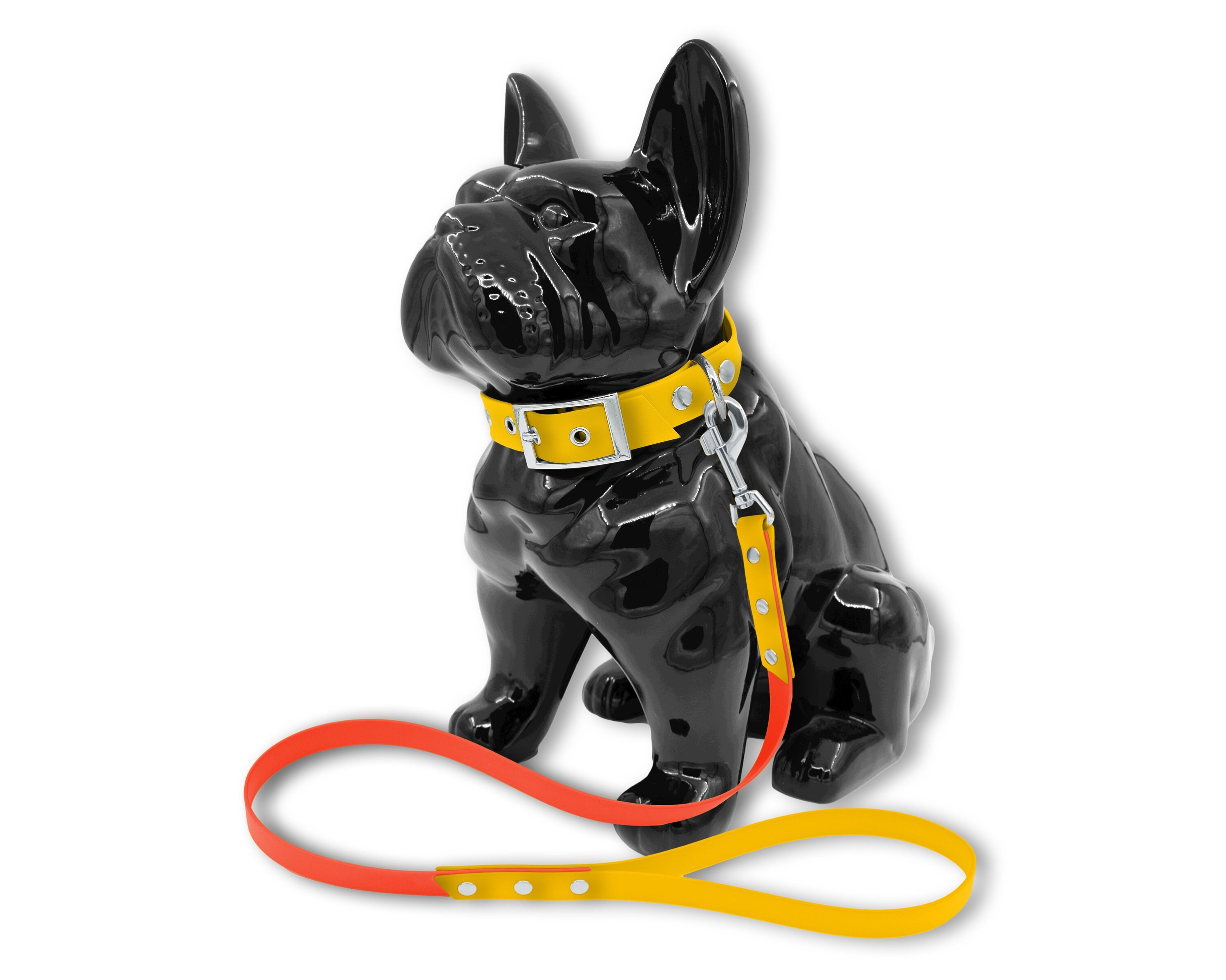 Ensemble Collier Laisse Fashion Pour Chien ou Chat en Biothane Orange et Jaune avec Rivets Noir Mat,