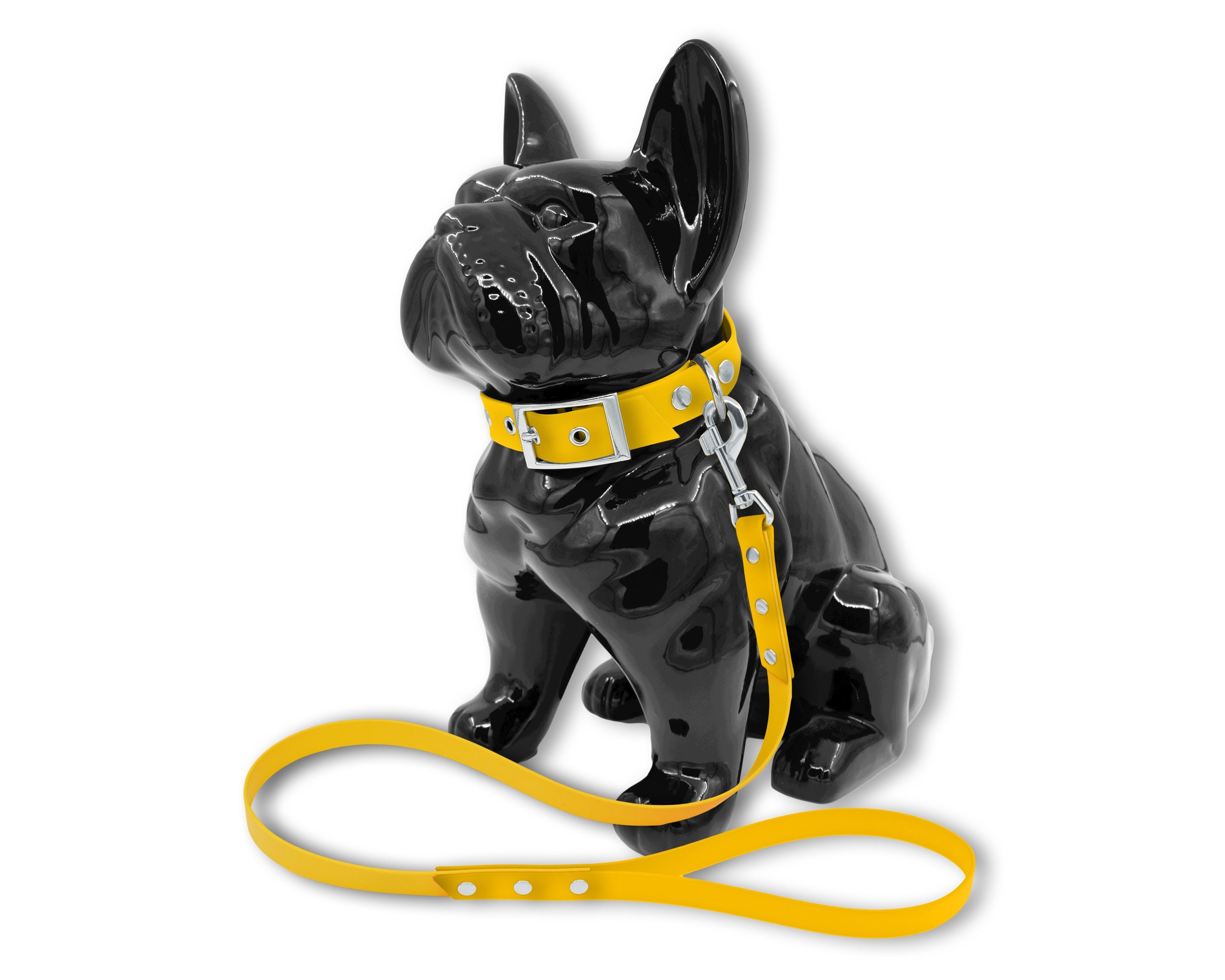 Ensemble Collier Laisse Classe Pour Chien ou Chat en Biothane Jaune avec Boucle et Rivets Noir Mat, 