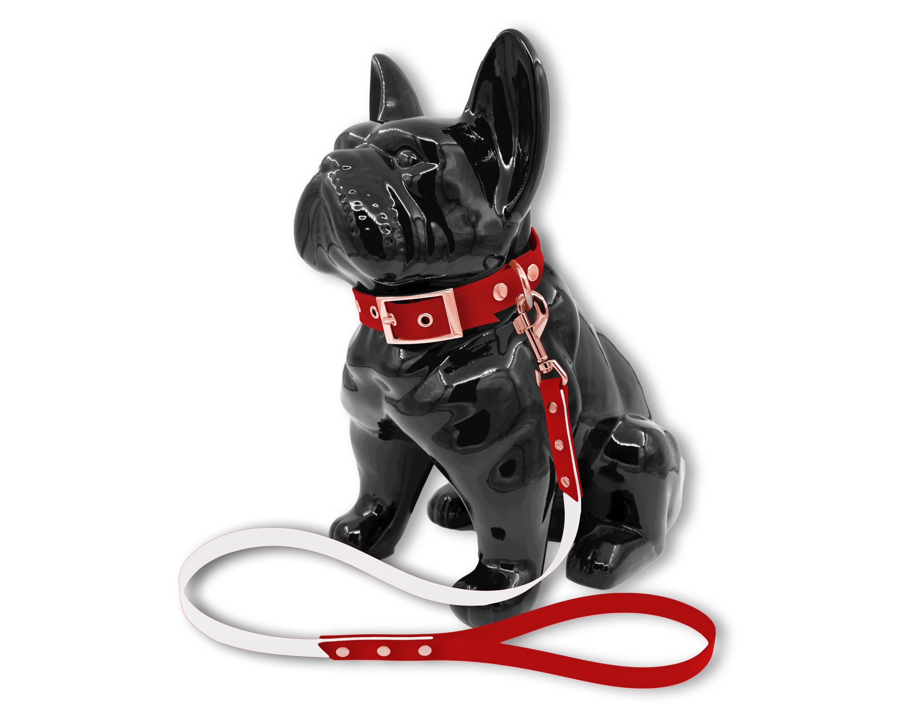 Ensemble Collier Laisse Fashion Pour Chien ou Chat en Biothane Blanc et Rouge avec Rivets Noir Mat, 