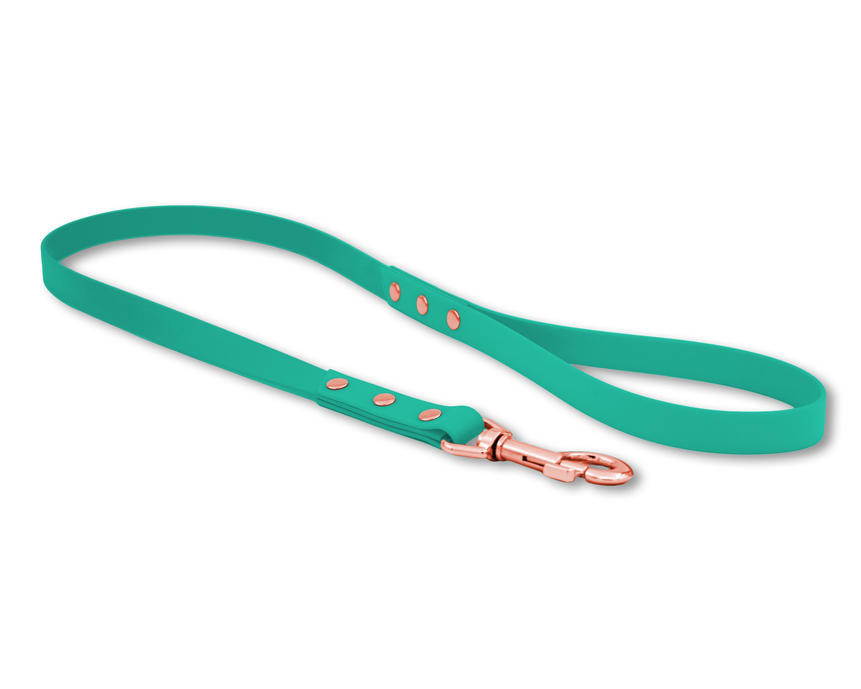 Laisse Chic Unie Pour Chien en Biothane Vert Turquoise avec Mousqueton Noir Mat, Rose Gold ou Argent