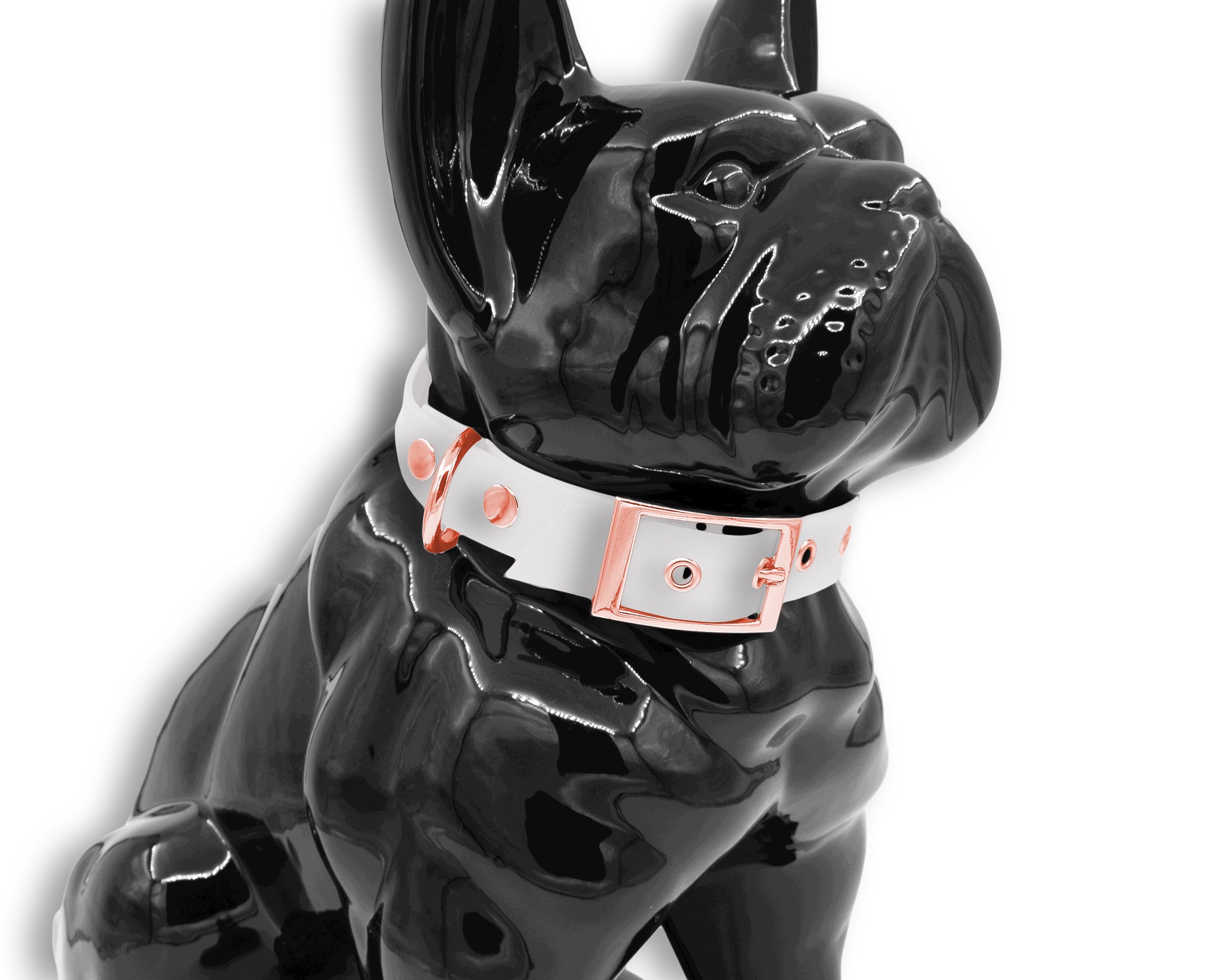 Collier Pour Chien ou Chat en Biothane Blanc Tendance avec Boucle et Rivets Noir Mat, Rose Gold Arge