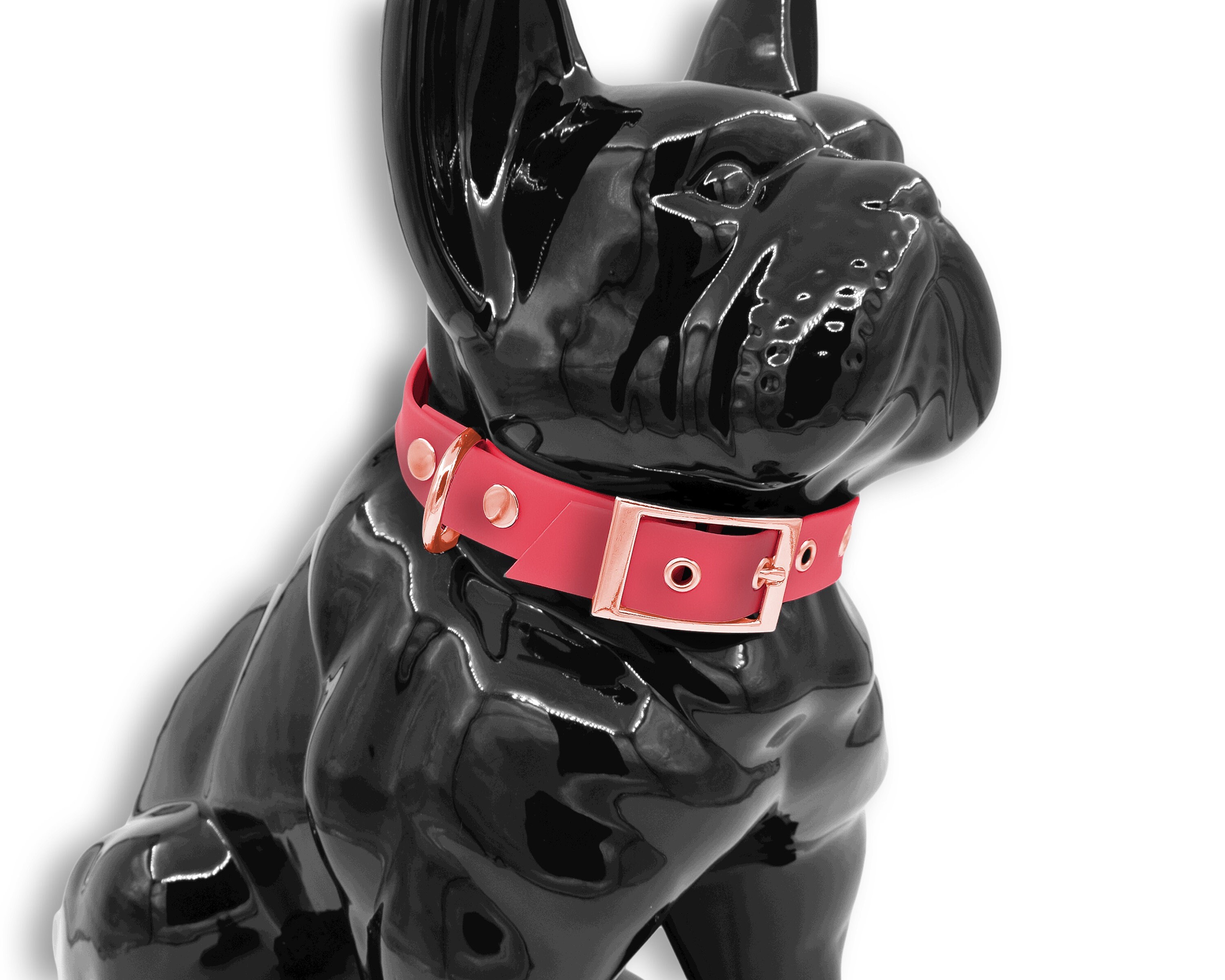 Collier Pour Chien ou Chat en Biothane Rose Corail avec Boucle et Rivets Noir Mat, Gold Argent - Rés