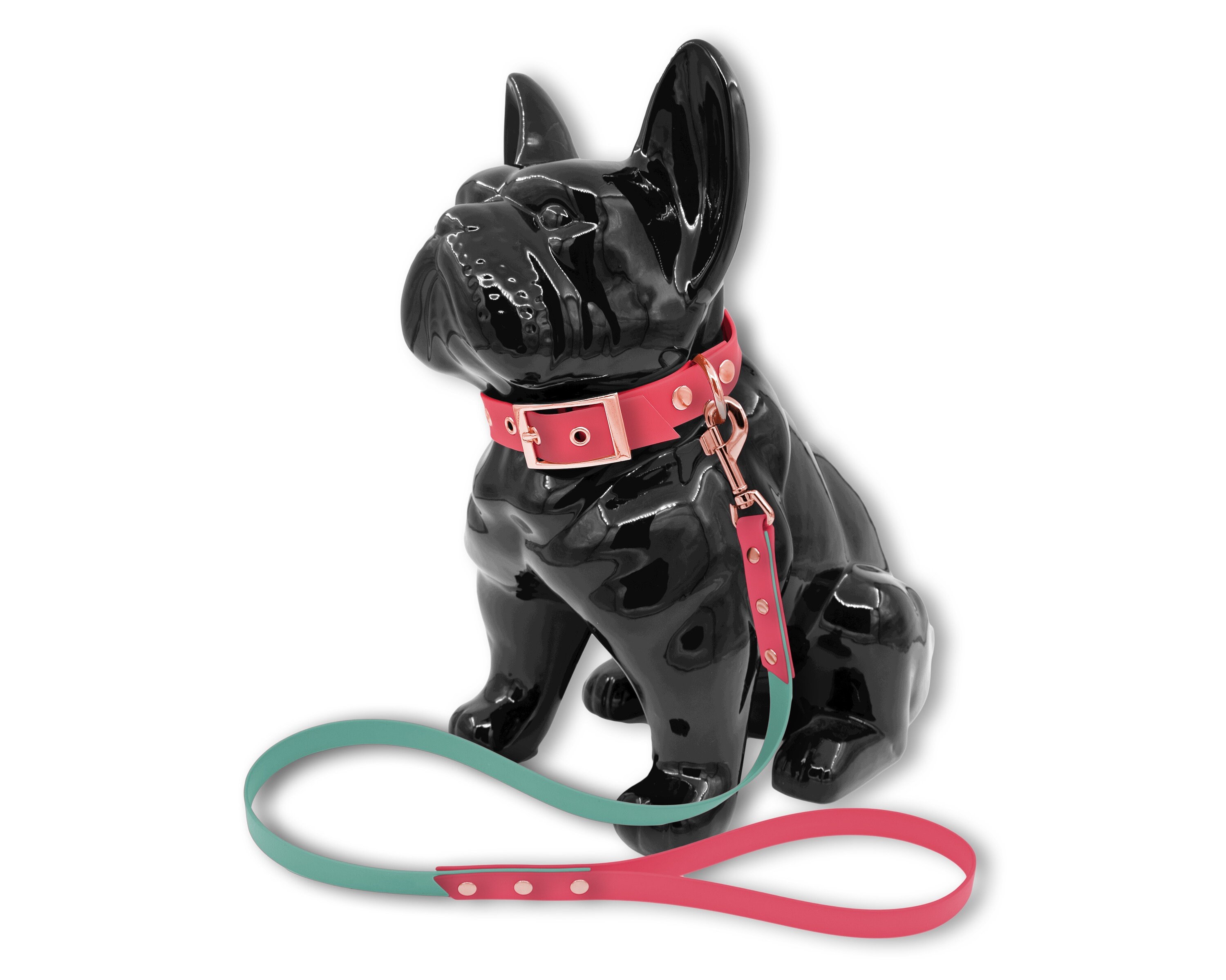 Ensemble Collier Laisse Fashion Pour Chien ou Chat en Biothane Rose Corail et Vert Turquoise avec Ri