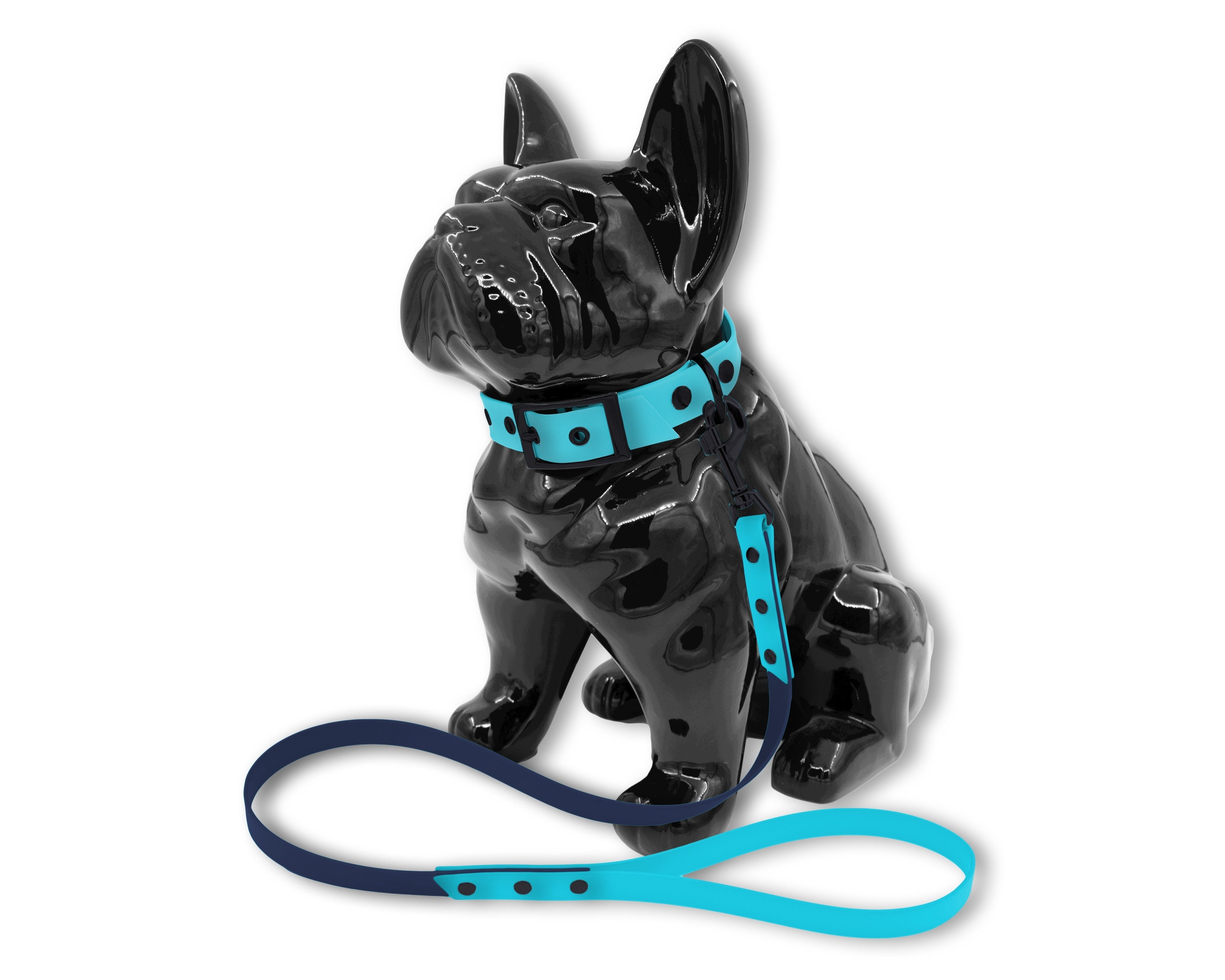 Ensemble Collier Laisse Fashion Pour Chien ou Chat en Biothane Bleu Ciel et Marine avec Rivets Noir 
