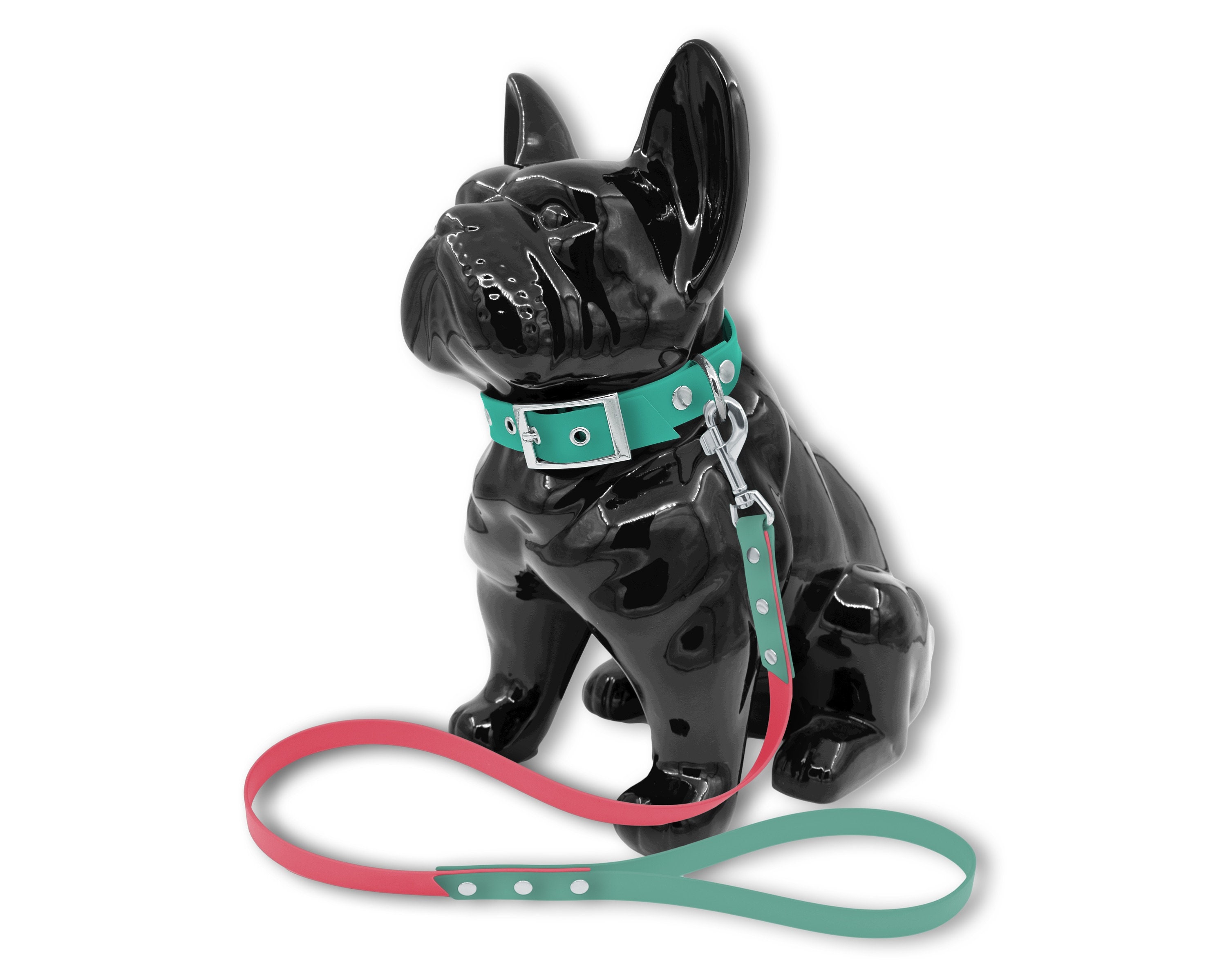 Ensemble Collier Laisse Fashion Pour Chien ou Chat en Biothane Vert Turquoise et Rose Corail avec Ri