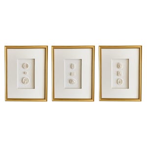 Intaglios set om 3 - Europeiska intaglios - Belgiskt linne skugglåda inramad konst