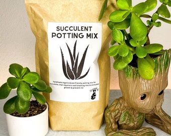 Succulent & Cacti Potting Soil 1 Gallon