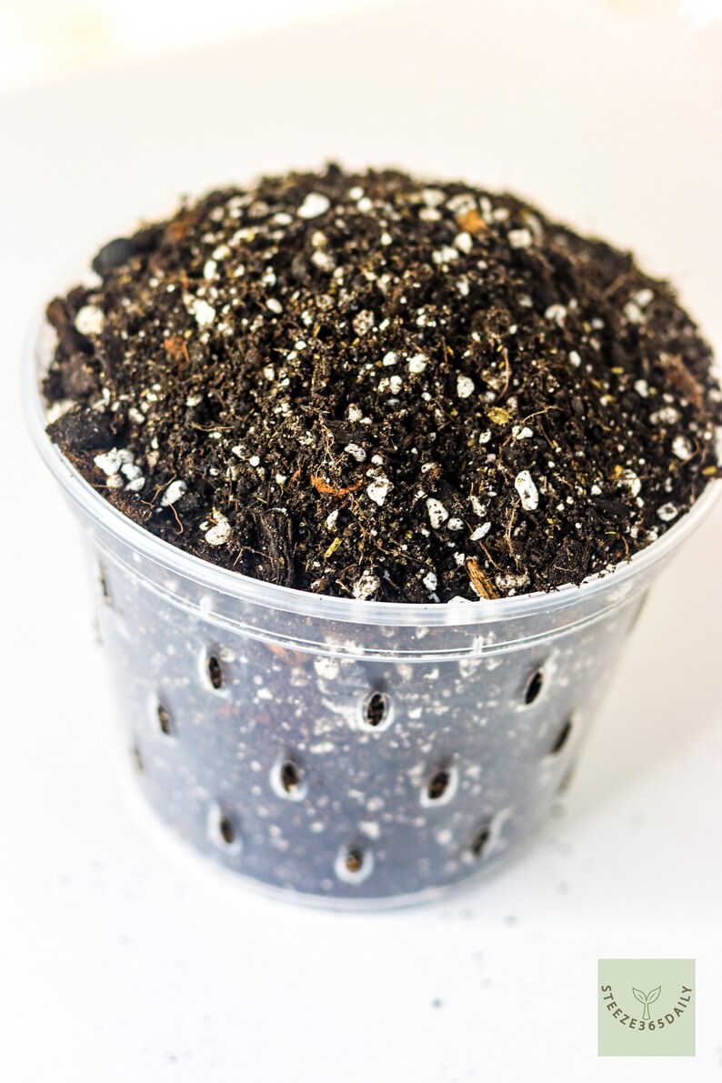 May include: A clear plastic pot filled with dark soil and white granules. The pot has several drainage holes around the sides. The soil appears rich and ready for planting. The image is set against a white background.