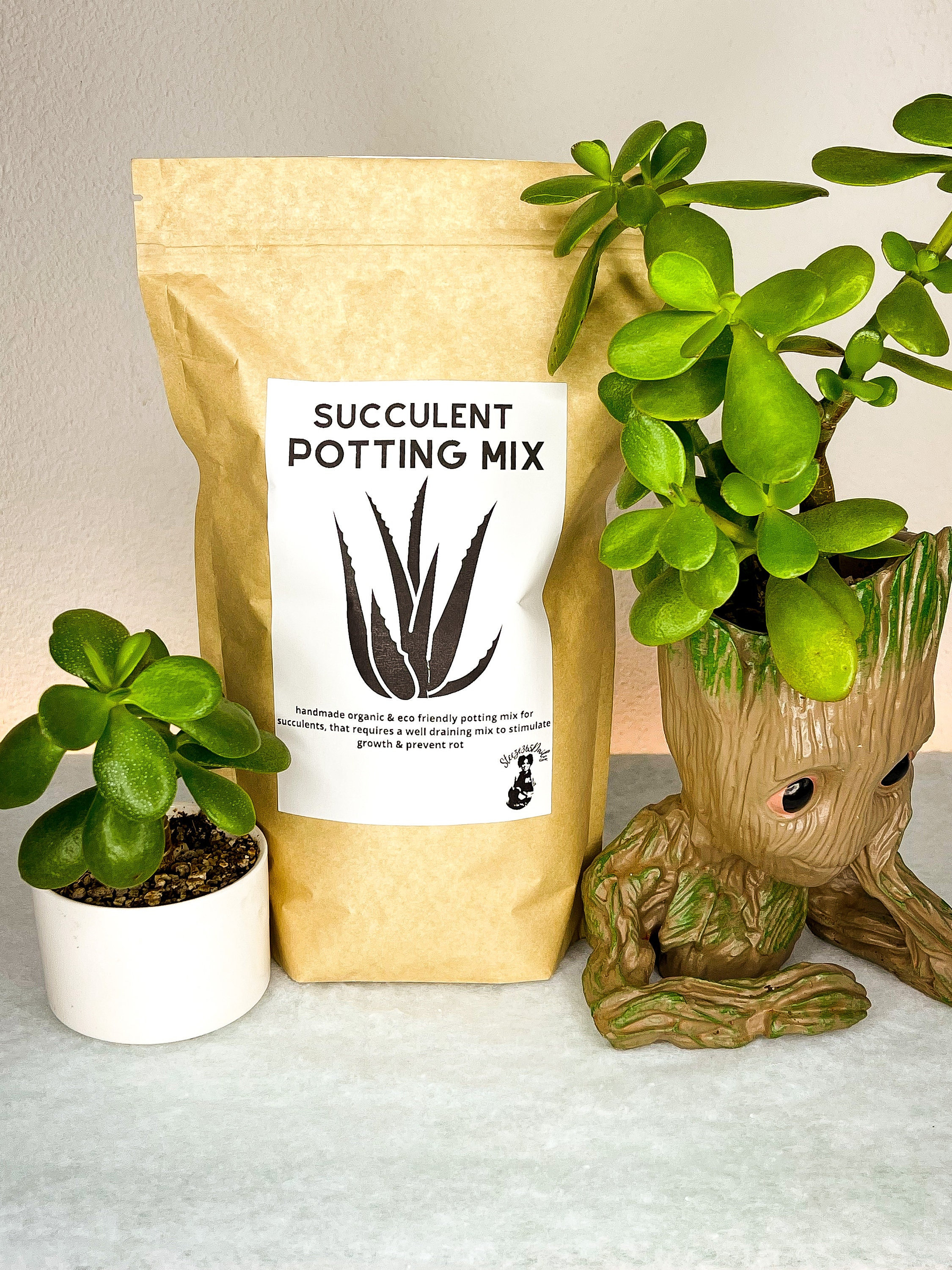 Succulent & Cacti Potting Soil 1 Gallon - Etsy