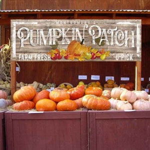 May include: A wooden sign with white lettering that reads "Montgomery's Pumpkin Patch" with the words "Farm Fresh" and "U-Pick" on either side. The sign is displayed in front of a stand with a variety of pumpkins and gourds.