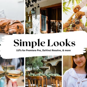 35 Simple Looks LUTs Pack for Video and color grading | Video luts for Final Cut, Premiere Pro, Filmora, DaVinci Resolve, LUTs presets