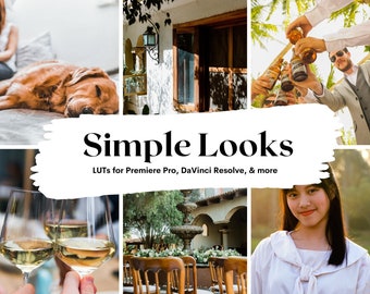 May include: A collage of images showcasing different scenes, including a dog sleeping on a couch, a couple toasting with wine glasses, a fountain in a courtyard, and friends raising bottles of beer. The text "Simple Looks" is superimposed on the images, with the tagline "LUTs for Premiere Pro, DaVinci Resolve, & more".