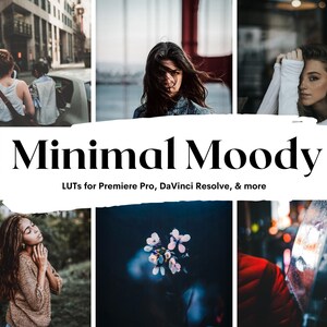 5 Minimal Moody LUTs for Video Grading (Digital Download) image 1