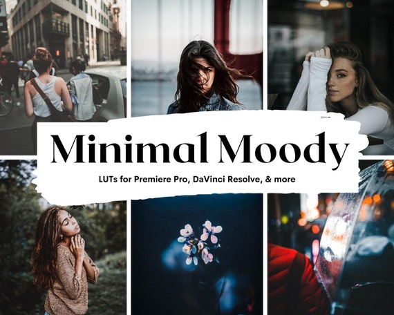 5 Minimal Moody LUTs for Video Grading (Digital Download)