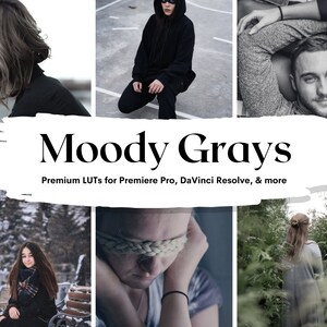11 Moody Gray LUTs Pack for Video and color grading | Video luts for Final Cut, Premiere Pro, Filmora, DaVinci Resolve, VN app