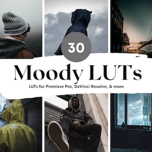 30 Moody LUTs presets mobile & desktop, lut for video filter, video presets, luts for premiere pro, Luts Final Cut Pro, DaVinci - BUNDLE!