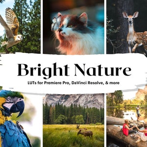 20 Bright Nature LUTs Pack for Video and color grading | Video luts for Final Cut, Premiere Pro, Filmora, DaVinci Resolve, LUTs presets