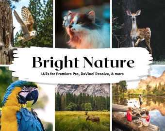 Heldere natuur-LUT's | Video- en fotofilters (20 .cube-bestanden)