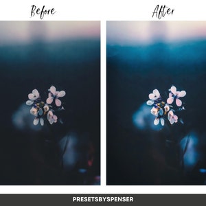 5 Minimal Moody LUTs for Video Grading (Digital Download) image 2