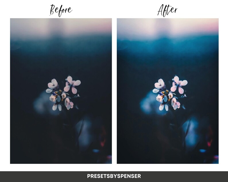 5 Minimal Moody LUTs for Video Grading (Digital Download) image 2