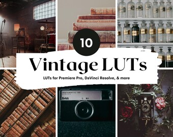 10 ajustes preestablecidos de LUT vintage para dispositivos móviles y de escritorio (instrucciones en PDF)