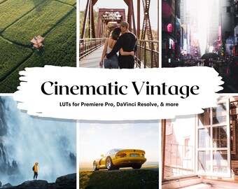 LUTs cinematográficos vintage / Ajustes preestablecidos de gradación de color de vídeo (instrucciones en PDF)
