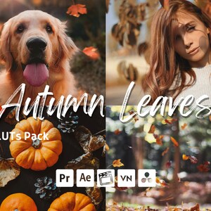 May include: A digital LUTs pack for photo and video editing, featuring autumn leaves, pumpkins, and a golden retriever dog. The pack is compatible with Adobe Premiere Pro, After Effects, Final Cut Pro, DaVinci Resolve, and other video editing software. The text "Autumn Leaves LUTs Pack" is displayed on the image.