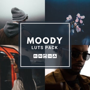 30 Moody Video LUTs presets mobile & desktop, lut for mobile video, video presets, luts for premiere pro, Luts Final Cut Pro, DaVinci