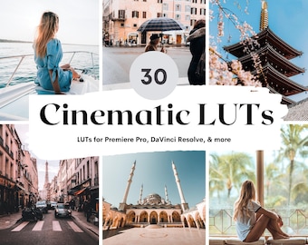 30 Film-LUTs-Paket für Video- und Fotofarbgradion | Video luts für Final Cut, Premiere Pro, Filmora, DaVinci Relösung, LUT BUNDLE
