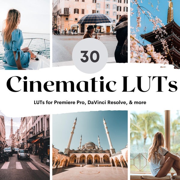 30 Cinematic LUTs Pack for Video and Photo color grading | Video luts for Final Cut, Premiere Pro, Filmora, DaVinci Resolve, LUT BUNDLE