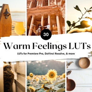 30 Warm Feelings LUTs Pack for Video and color grading | Video luts for Final Cut, Premiere Pro, Filmora, DaVinci Resolve, LUTs presets