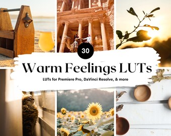 Warm Feelings LUTs | Video & Photo Color Grading Presets (30 .cube Files)