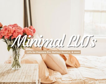 10 Minimal LUTs for Video Color Grading (PDF Instructions)