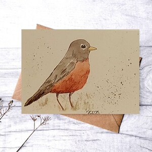 The American Robin