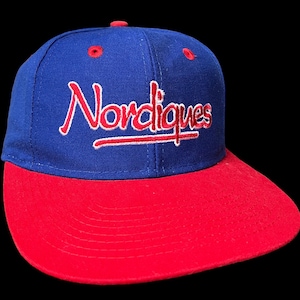 Vintage 1990’s NHL Quebec Nordiques The Game  snapback