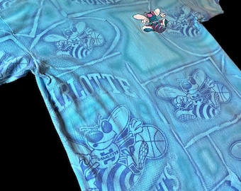 Rare Vintage 90s USA Made Charlotte Hornets NBA Magic Johnson T's