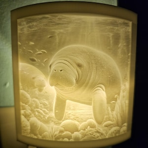 May include: A night light featuring a detailed relief of two manatees in an underwater scene. The light is a soft, warm yellow, illuminating the manatees and the surrounding coral and fish. The design is encased in a rectangular frame.