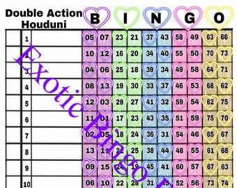 1-15 Line Bingo Board, 1-75 Balls Mixed (Double Action Houdini Rainbow)