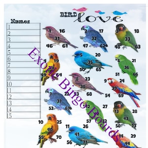 1-75 Ball Bingo Board, 1-15 lines, Straight Picture (Love Birds)